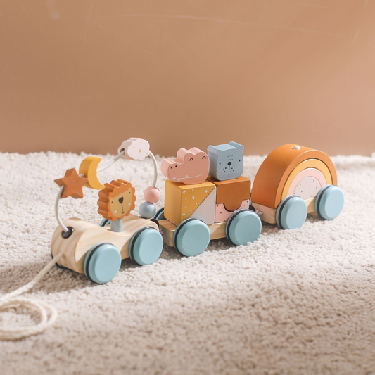 Classic Wooden Pull Toy